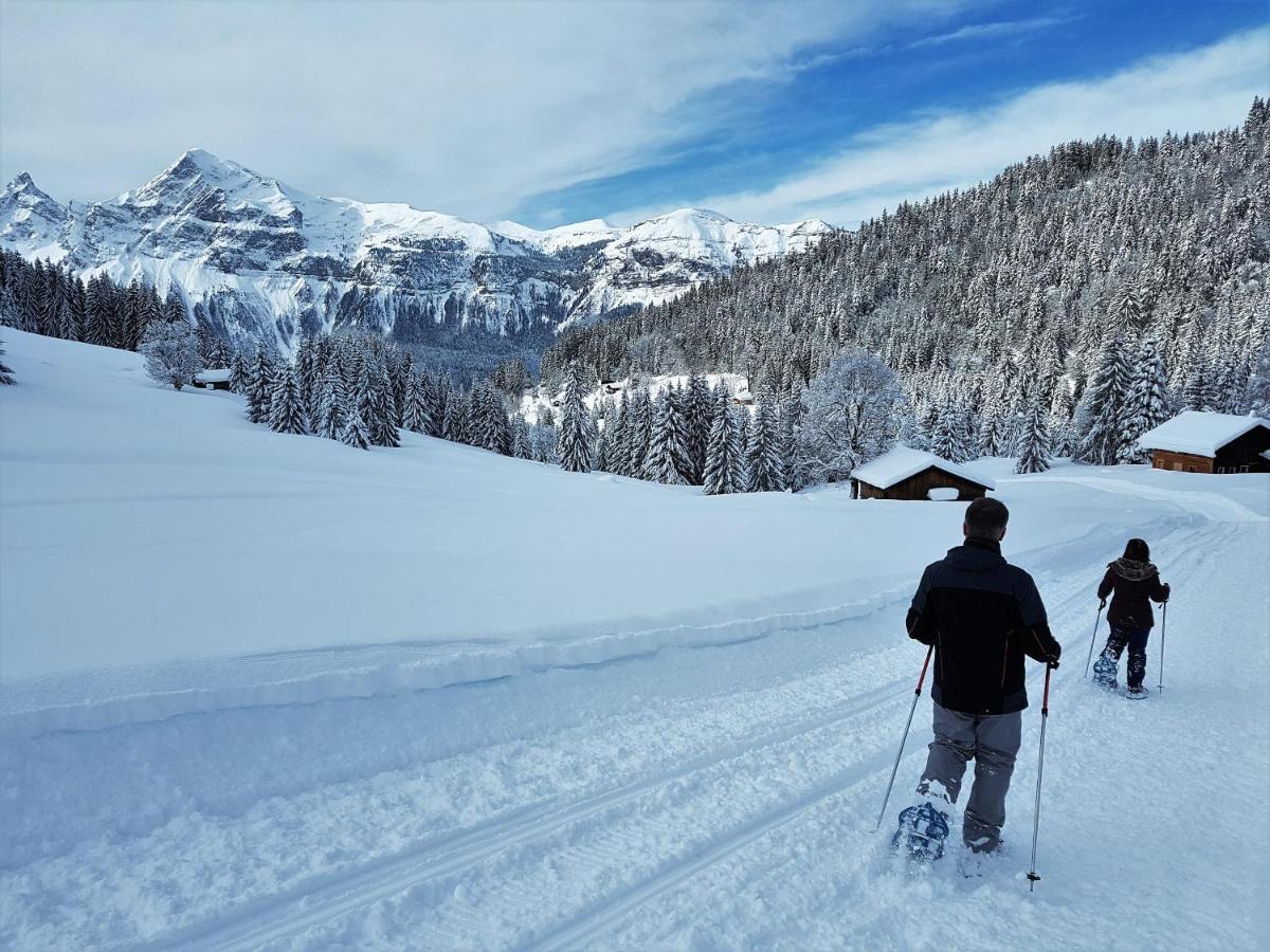 Chalet Arpitan - Les Carroz - Grand Massif Luaran gambar