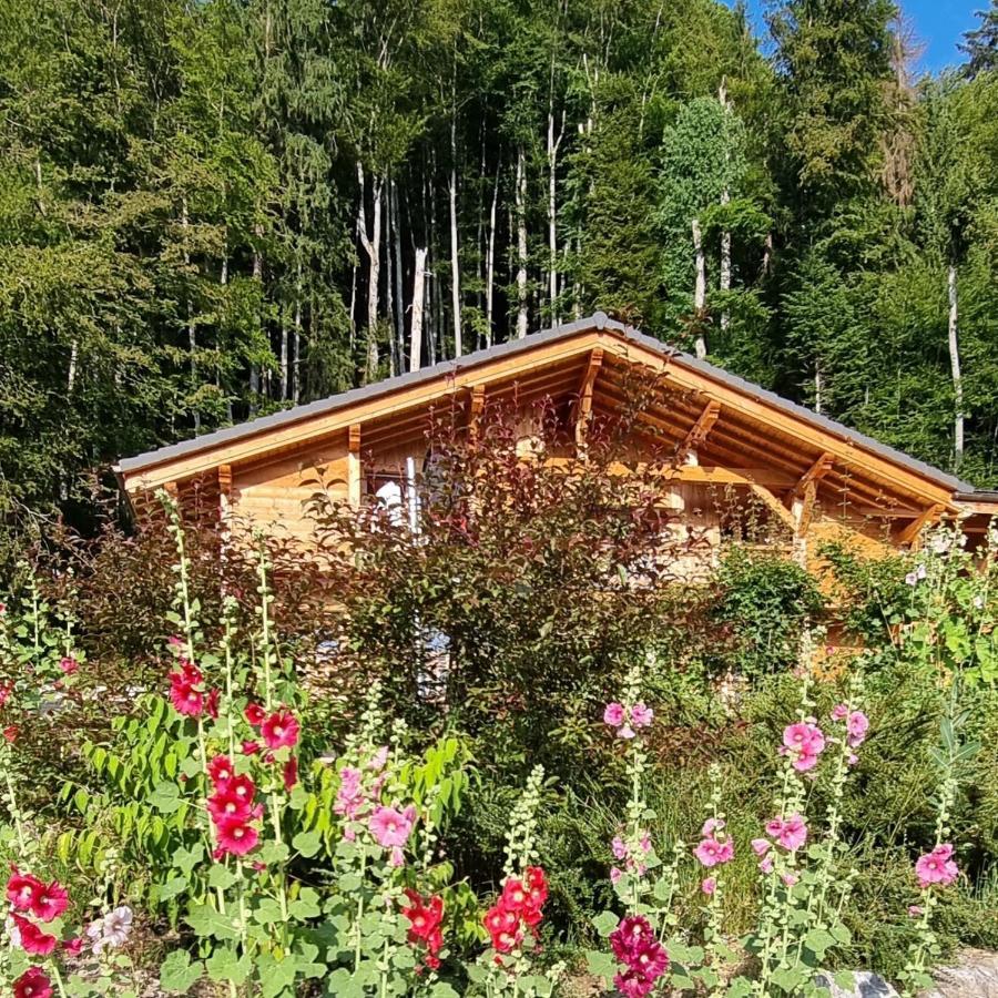 Chalet Arpitan - Les Carroz - Grand Massif Luaran gambar