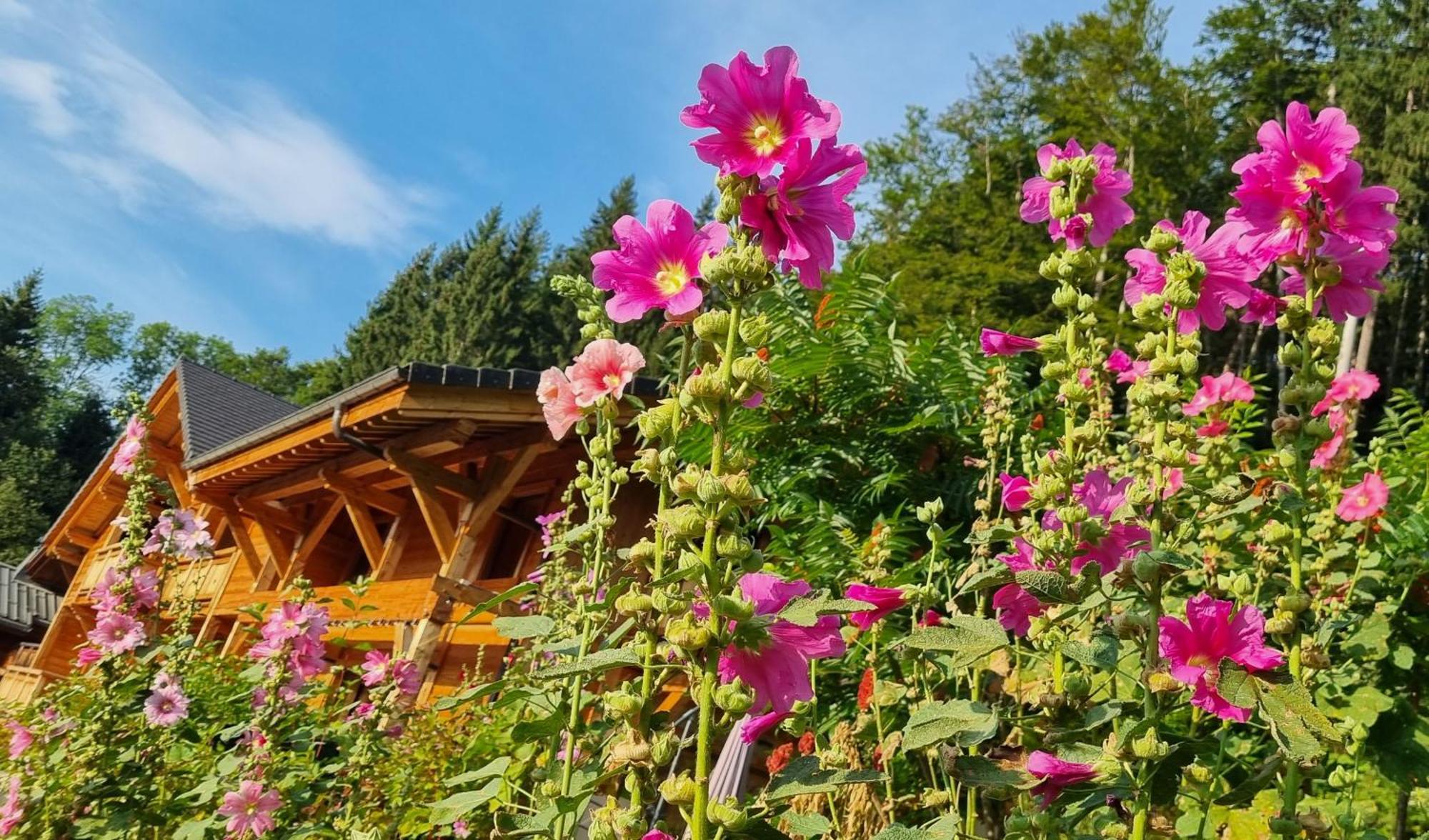 Chalet Arpitan - Les Carroz - Grand Massif Luaran gambar